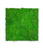 10001 Preserved Moss Panel