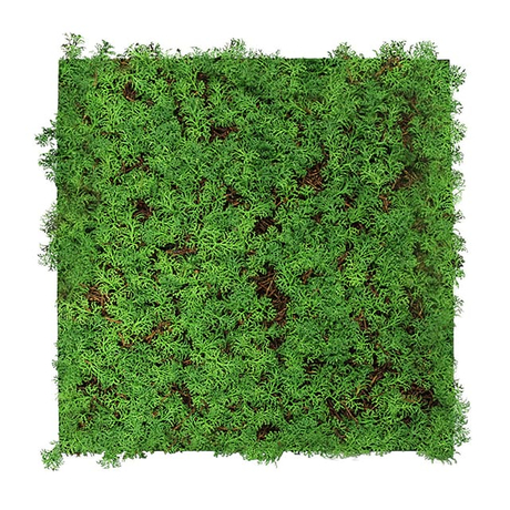 11105