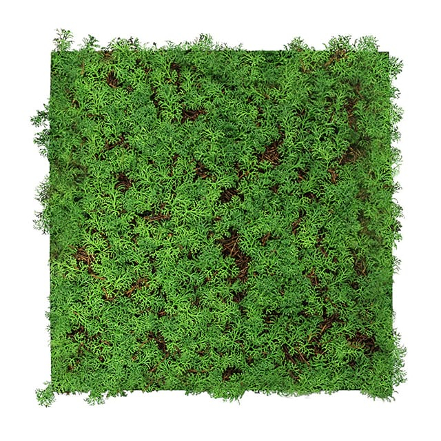 11105