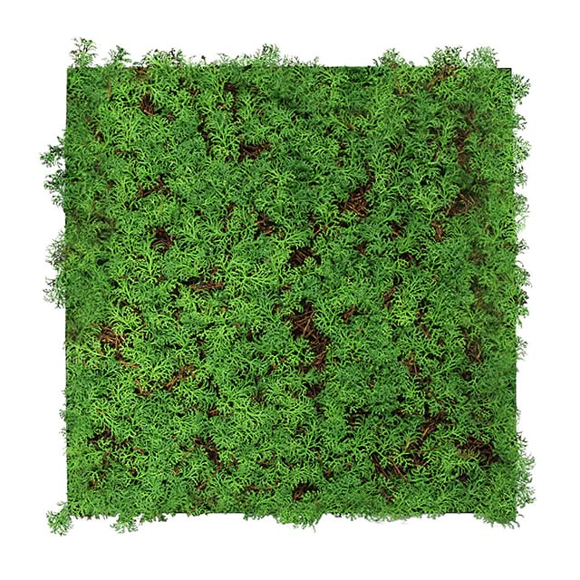 11105