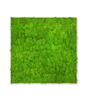 10001 Preserved Moss Panel