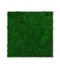10001 Preserved Moss Panel