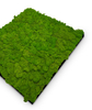 10001 Preserved Moss Panel